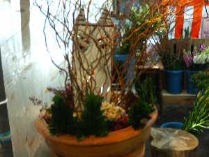 �y���W�����{�s�I�j�R��2008���\_24